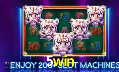 Mesas ao vivo 5win