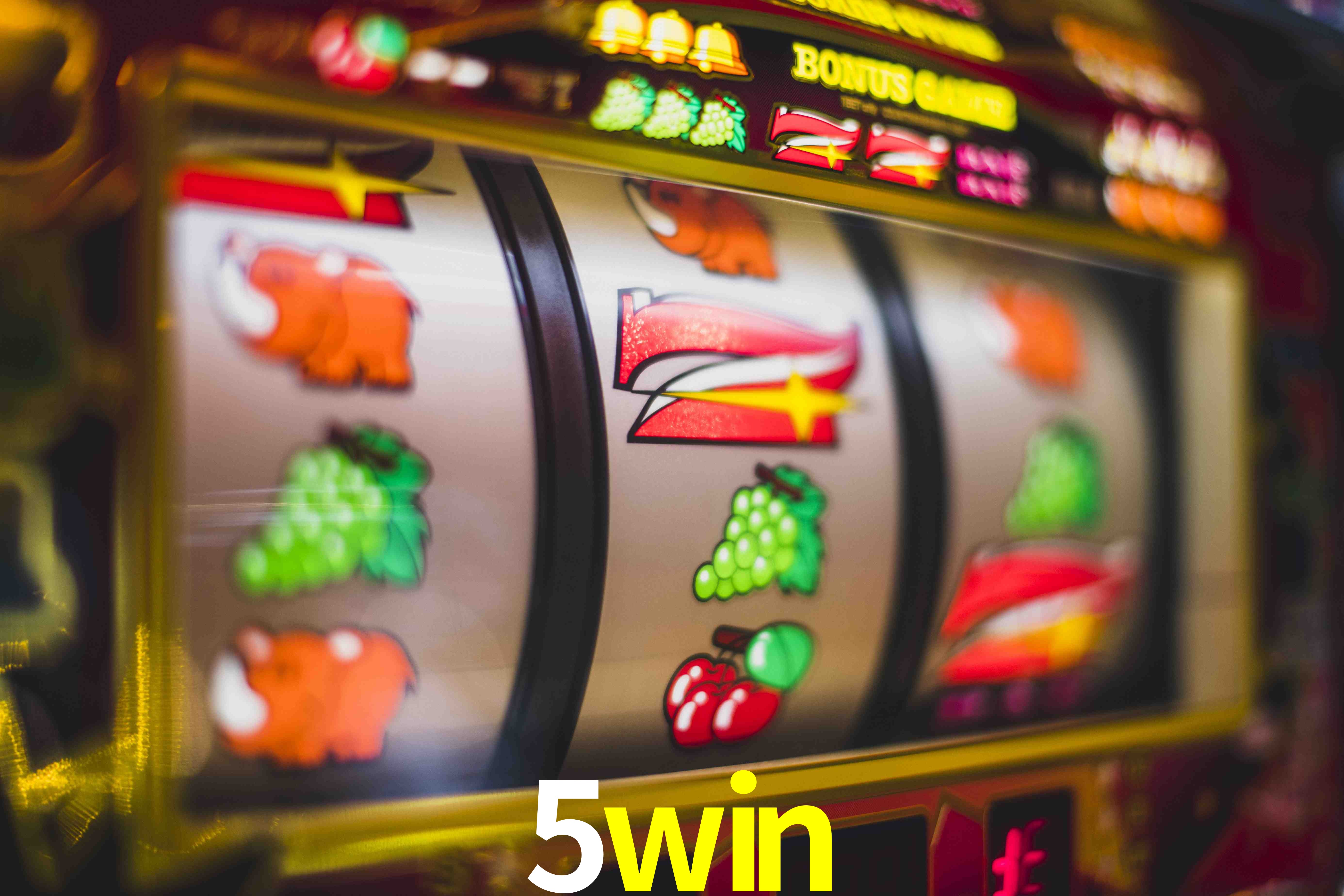 Basketball Betting 5win